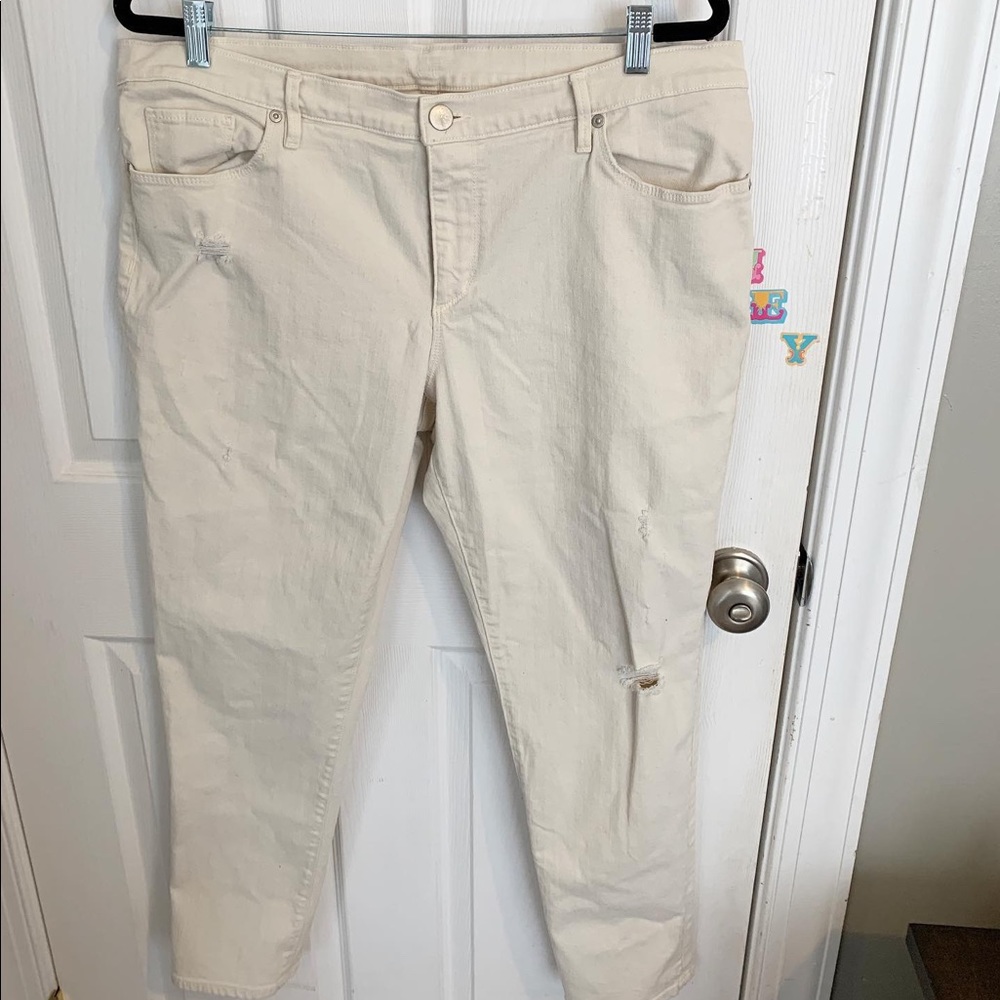 Loft Pants